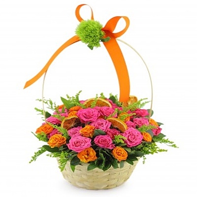 Colorful Arbor Roses