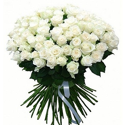 100 white roses